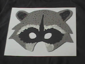 raccoonmask.jpg