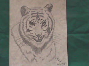 tigress1.jpg